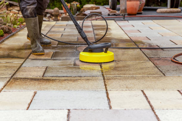 Animal Enclosure Cleaning in Joshua Tree, CA